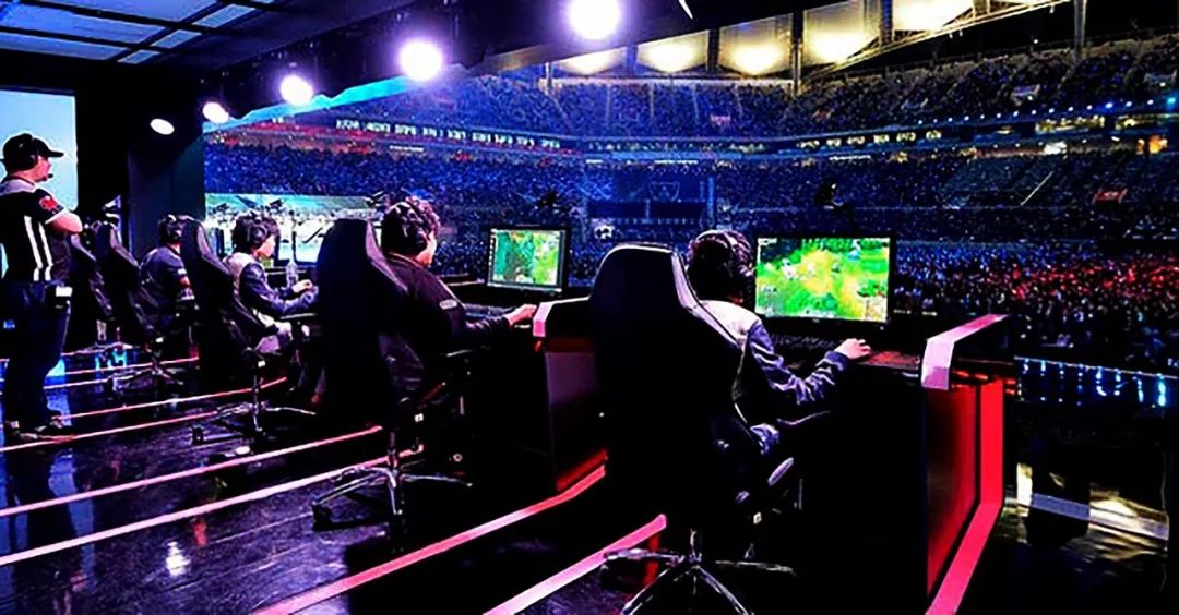 他们培养出 他们培养出